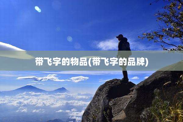 带飞字的物品(带飞字的品牌)