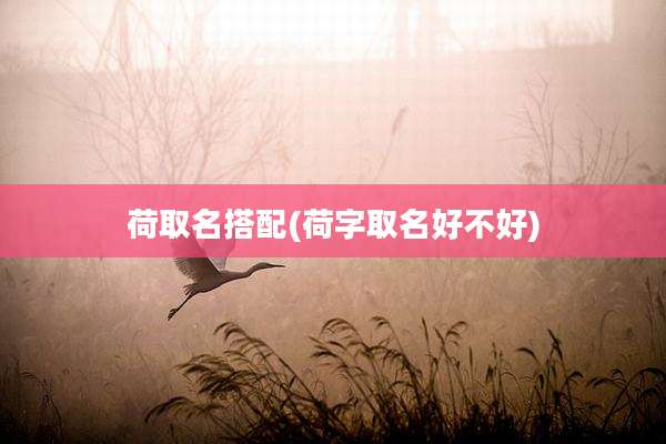 荷取名搭配(荷字取名好不好)
