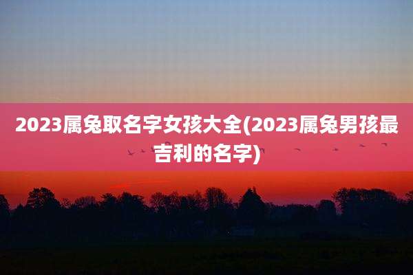 2023属兔取名字女孩大全(2023属兔男孩最吉利的名字)