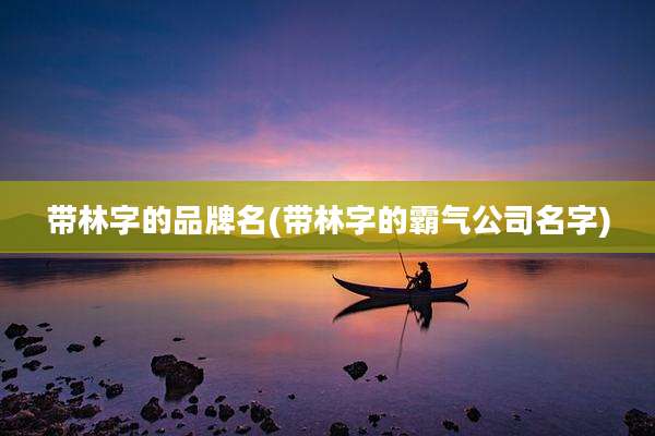 带林字的品牌名(带林字的霸气公司名字)