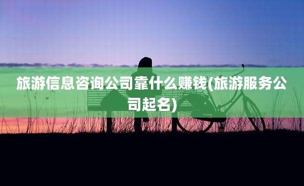 旅游信息咨询公司靠什么赚钱(旅游服务公司起名)