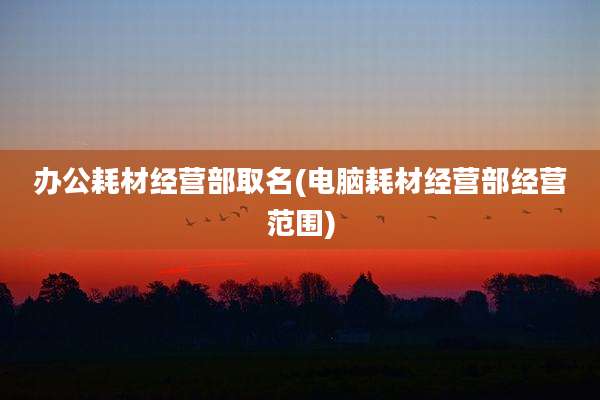 办公耗材经营部取名(电脑耗材经营部经营范围)