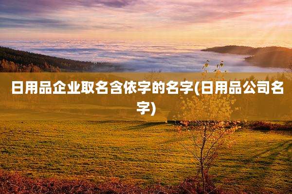 日用品企业取名含依字的名字(日用品公司名字)
