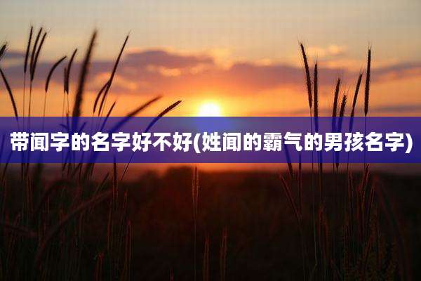 带闻字的名字好不好(姓闻的霸气的男孩名字)