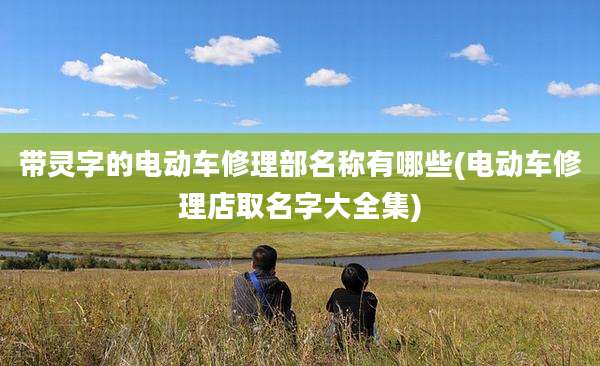 带灵字的电动车修理部名称有哪些(电动车修理店取名字大全集)