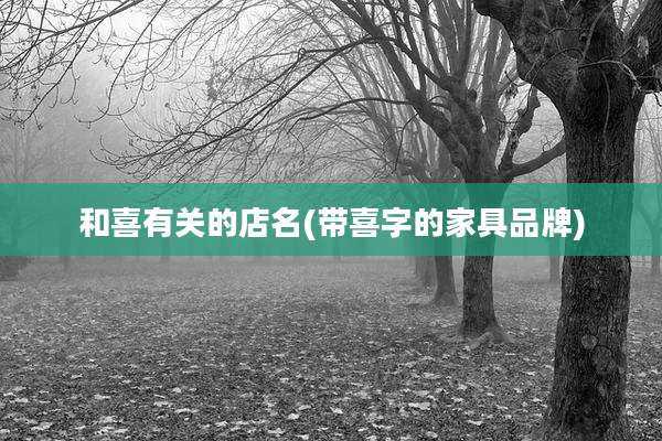 和喜有关的店名(带喜字的家具品牌)
