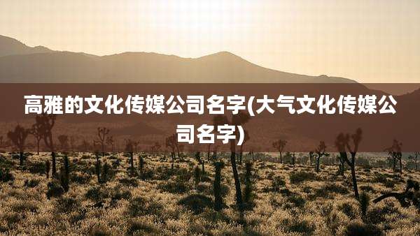 高雅的文化传媒公司名字(大气文化传媒公司名字)