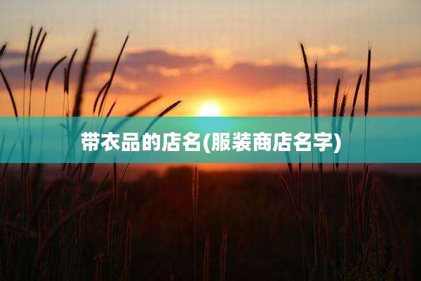 带衣品的店名(服装商店名字)