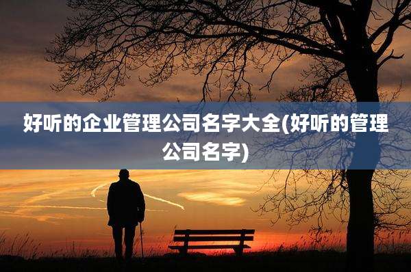 好听的企业管理公司名字大全(好听的管理公司名字)