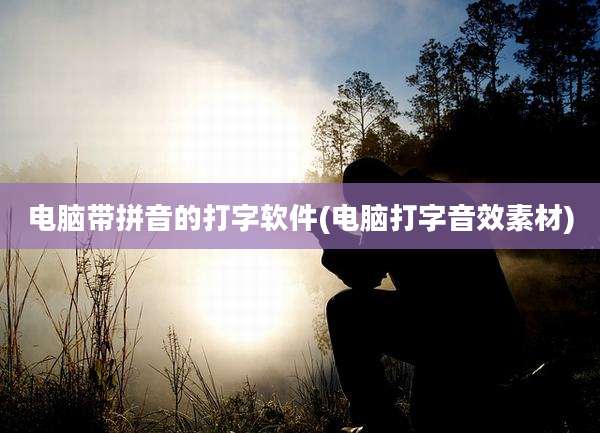 电脑带拼音的打字软件(电脑打字音效素材)