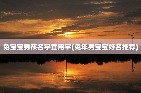 兔宝宝男孩名字宜用字(兔年男宝宝好名推荐)