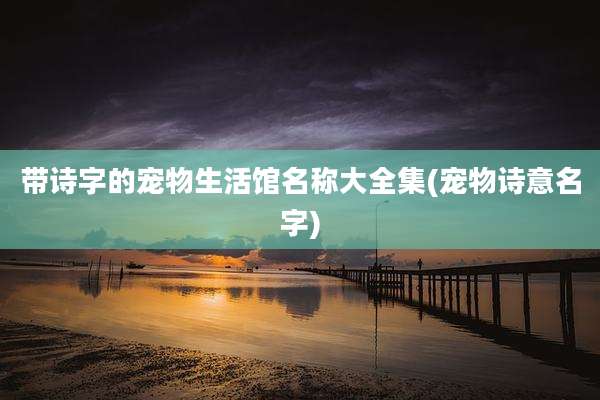 带诗字的宠物生活馆名称大全集(宠物诗意名字)