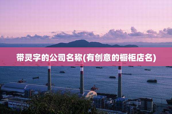 带灵字的公司名称(有创意的橱柜店名)