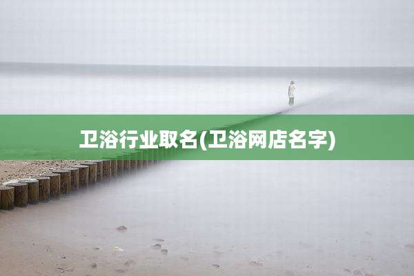 卫浴行业取名(卫浴网店名字)