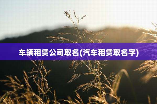 车辆租赁公司取名(汽车租赁取名字)