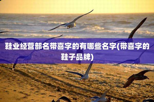 鞋业经营部名带喜字的有哪些名字(带喜字的鞋子品牌)