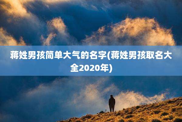 蒋姓男孩简单大气的名字(蒋姓男孩取名大全2020年)