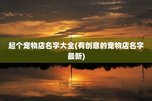 起个宠物店名字大全(有创意的宠物店名字最新)