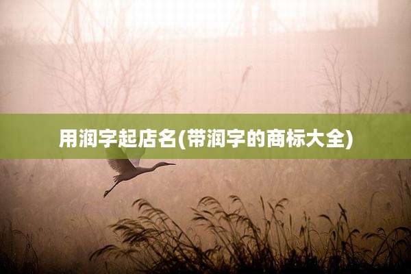 用润字起店名(带润字的商标大全)