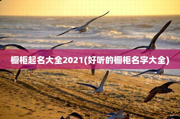 橱柜起名大全2021(好听的橱柜名字大全)