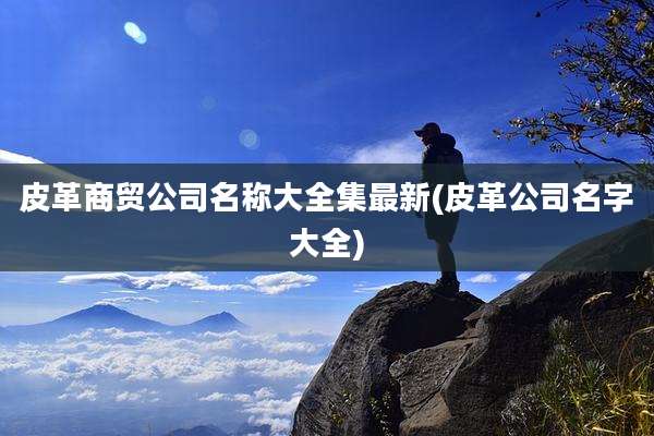 皮革商贸公司名称大全集最新(皮革公司名字大全)