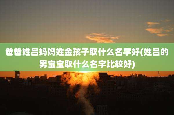 爸爸姓吕妈妈姓金孩子取什么名字好(姓吕的男宝宝取什么名字比较好)