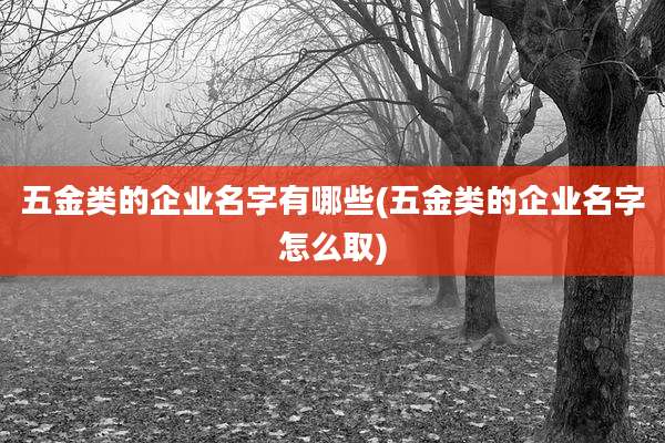 五金类的企业名字有哪些(五金类的企业名字怎么取)
