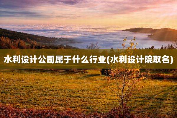 水利设计公司属于什么行业(水利设计院取名)