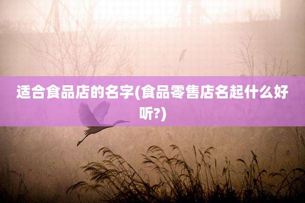 适合食品店的名字(食品零售店名起什么好听?)
