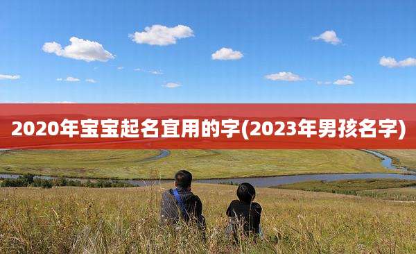 2020年宝宝起名宜用的字(2023年男孩名字)