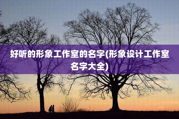 好听的形象工作室的名字(形象设计工作室名字大全)