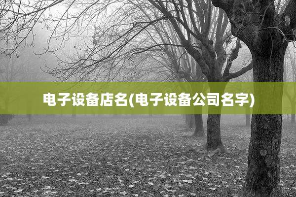 电子设备店名(电子设备公司名字)