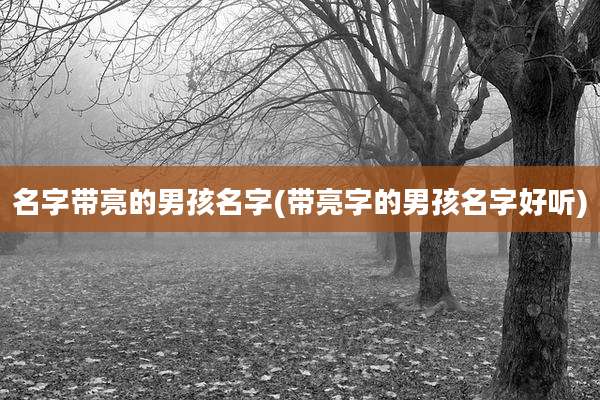 名字带亮的男孩名字(带亮字的男孩名字好听)