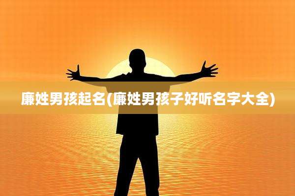 廉姓男孩起名(廉姓男孩子好听名字大全)