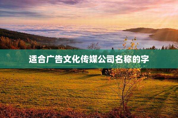 适合广告文化传媒公司名称的字