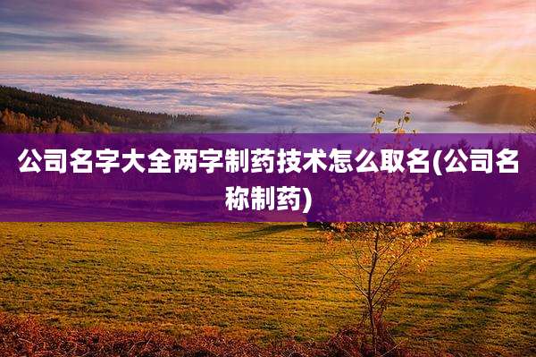 公司名字大全两字制药技术怎么取名(公司名称制药)