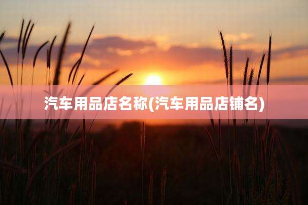汽车用品店名称(汽车用品店铺名)