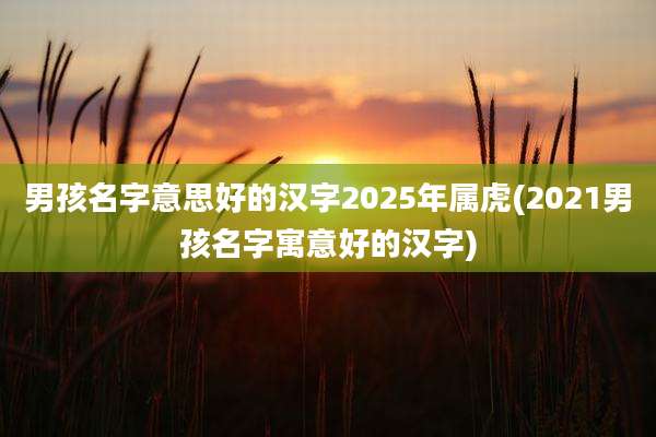 男孩名字意思好的汉字2025年属虎(2021男孩名字寓意好的汉字)