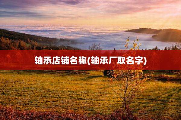 轴承店铺名称(轴承厂取名字)