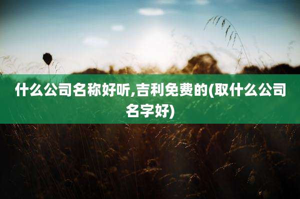 什么公司名称好听,吉利免费的(取什么公司名字好)