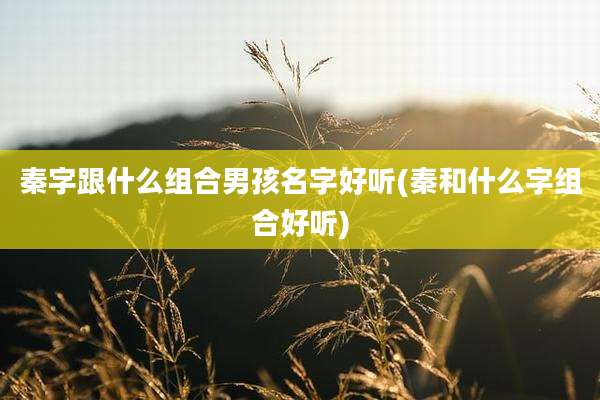 秦字跟什么组合男孩名字好听(秦和什么字组合好听)