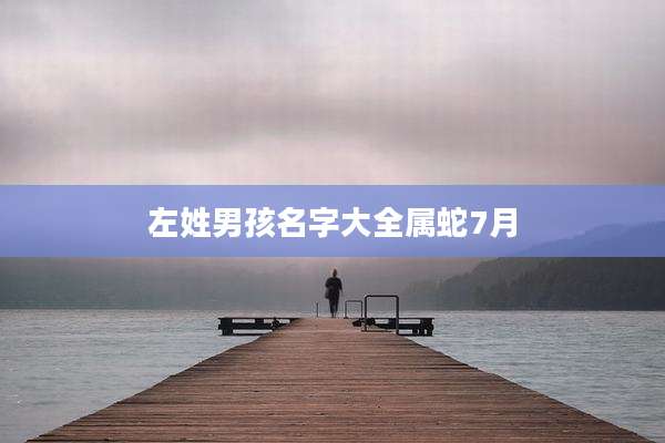 左姓男孩名字大全属蛇7月