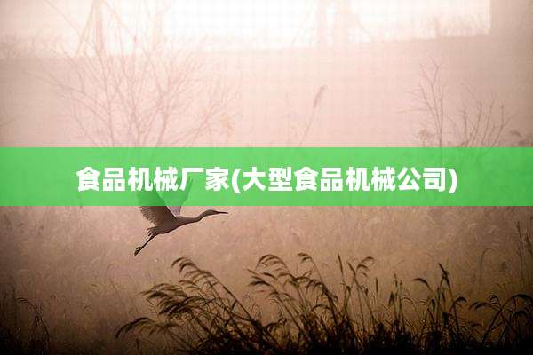 食品机械厂家(大型食品机械公司)