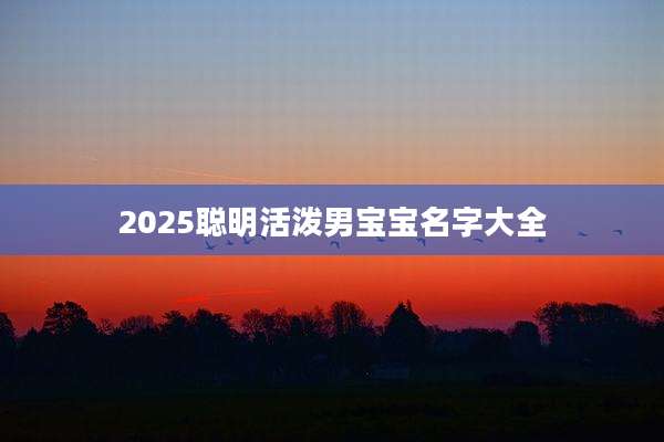 2025聪明活泼男宝宝名字大全