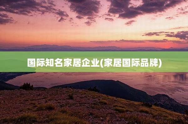 国际知名家居企业(家居国际品牌)