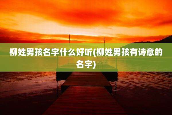 柳姓男孩名字什么好听(柳姓男孩有诗意的名字)