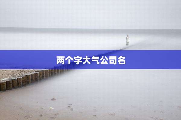 两个字大气公司名
