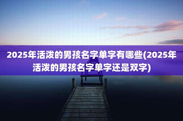2025年活泼的男孩名字单字有哪些(2025年活泼的男孩名字单字还是双字)