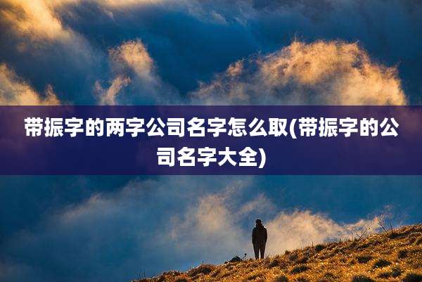 带振字的两字公司名字怎么取(带振字的公司名字大全)