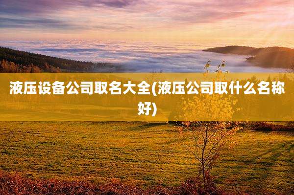 液压设备公司取名大全(液压公司取什么名称好)
